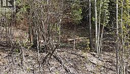 Lot 2 Vickers Trail Anglemont, British Columbia