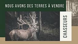 Terres Pour La Chasse À Vendre Partout Au Québec