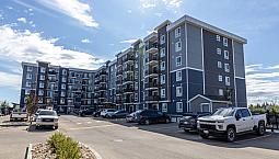 Pet-Friendly Two Bedroom One Bath With In-Suite Laundry For Rent