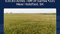 4 Quarters Of Productive Grain Land | Near Holdfast, Sk