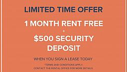 The Pendrell 1770 - Junior 1 Bedroom Available At 1770 Pendrell 