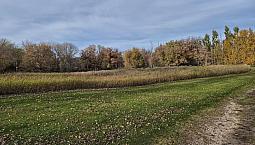 37059 Hwy 1-a Highway Portage La Prairie Rm, Manitoba