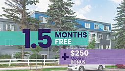 Inglewood Apartment For Rent | Mainstreet 124th Apartments