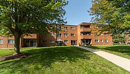 1 Bedroom Suite - Great Location!
