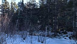 Great Cabin Lot
