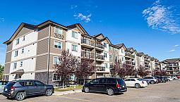Pet-Friendly Two Bedroom One Bath With In-Suite Laundry For Rent