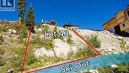 465 Feathertop Way Big White, British Columbia