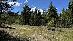 Lot 4 Pitney Road Valemount, British Columbia