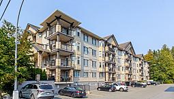 311 5438 198 Street Langley, British Columbia