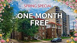 Bold Street Apartments - Bachelor Apartment For Rent