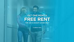 Pet-Friendly One Bedroom One Bath With In-Suite Laundry For Rent
