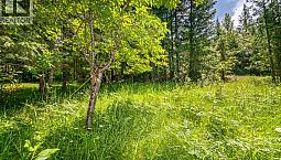 98 Dolly Varden Road Enderby, British Columbia
