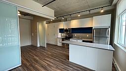 Unique 1 Bedroom Loft Style Apartment In Oliver Square