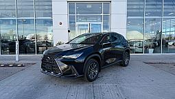 2023 Lexus Nx Nx 350h Nx 350h Awd