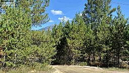 1170 14th Avenue Valemount, British Columbia