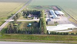 Dairy Farm For Sale