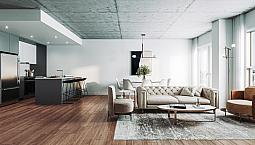 Condo Appartement Neuf À Louer Outremont-Campus Mil-2 Sdb