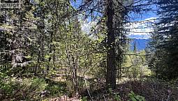 Lot 2 Lois Lane Winlaw, British Columbia