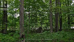 837 Aspdin Road Huntsville (Chaffey), Ontario