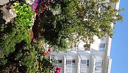 1 Bedroom Apartment For Rent - 1180 Esquimalt Rd