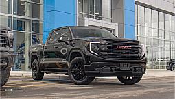 2024 Gmc Sierra 1500 Elevation Premium 3.0L Duramax X31 |