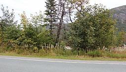 Combined Lots - Beachy Cove Brook & Hill As Your Backdrop!