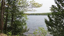 Prince Lake Lot