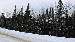 62 000$ - Terrain Résidentiel À Petite-Rivière-St-François