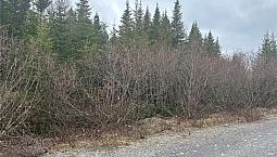 Cabin Lot #6