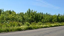 Lot 5 Middlesex Rd - 3.84 Acres - $29900
