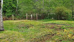 8 Freda Rd Tahsis, British Columbia