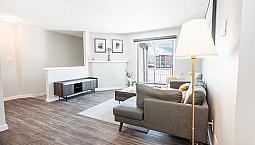 Polo Club Apartments - One-Bedroom Suite Apartment For Rent