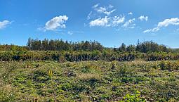 Beautiful Views Of The Northumberland Strait! - 3.19 Acres