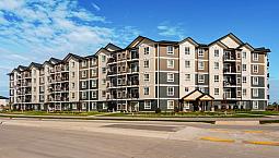 Pet-Friendly One Bedroom One Bath With In-Suite Laundry For Rent