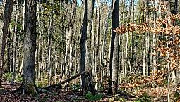 $197,500 - Residential Lot For Sale In Orford