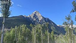 Dl 890 Pugsley Street New Hazelton, British Columbia