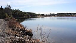 1.1 Acres - View Of And Fronting On A Pond!
