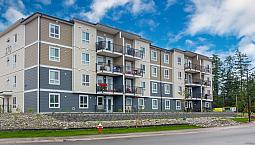 Pet-friendly Two Bedroom Two Bath With In-suite Laundry For Rent