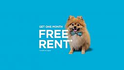 Pet-friendly Two Bedroom Two Bath With In-suite Laundry For Rent
