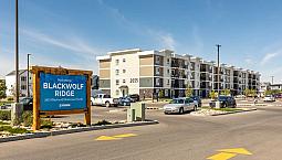 Pet-friendly Three Bedroom Two Bath With In-suite Laundry For Re