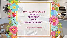 323 Niagara Blvd - 1 Bedroom Apartment For Rent
