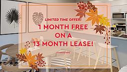 323 Niagara Blvd - 1 Bedroom Apartment For Rent