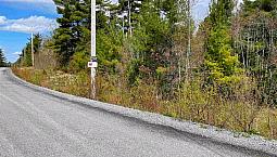 35 Acres W Driveway/Electricity To Lot. Mins To Bridgewater