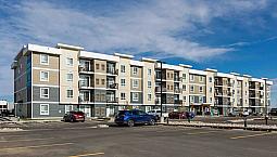 Pet-Friendly One Bedroom One Bath With In-Suite Laundry For Rent