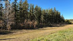 Lariviere Land - 152.9 Acres Meadow Lake Rm No.588, Saskatchewan