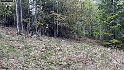 Lot 2 Balfour Avenue Kaslo, British Columbia