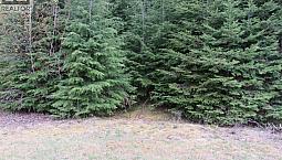 Lot B 3 Highway Salmo, British Columbia