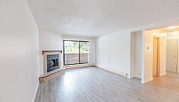 Bachelor, 1 Bedroom And 2 Bedroom Suites For Rent | Inquire Toda