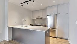 5 1/2 Tout Neuf À Louer À Ville St Laurent Appartement Condo