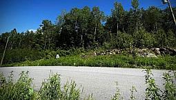100 000$ - Terrain Résidentiel À Shawinigan (Lac-A-La-Tortue)